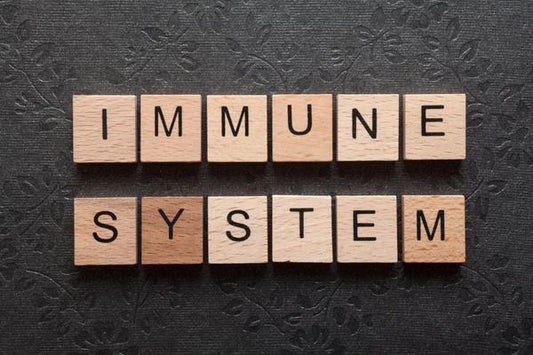 Der Winter kommt - bring dein Immunsystem aufs nächste Level